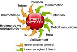 L'eau hydrogénée au pouvoir anti oxydant, réduit le stress oxydatif et  l'inflammation